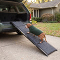 Earl, our brand mascot, a senior dachshund in a green sweater, walking up the folding ramp into the back of an SUV