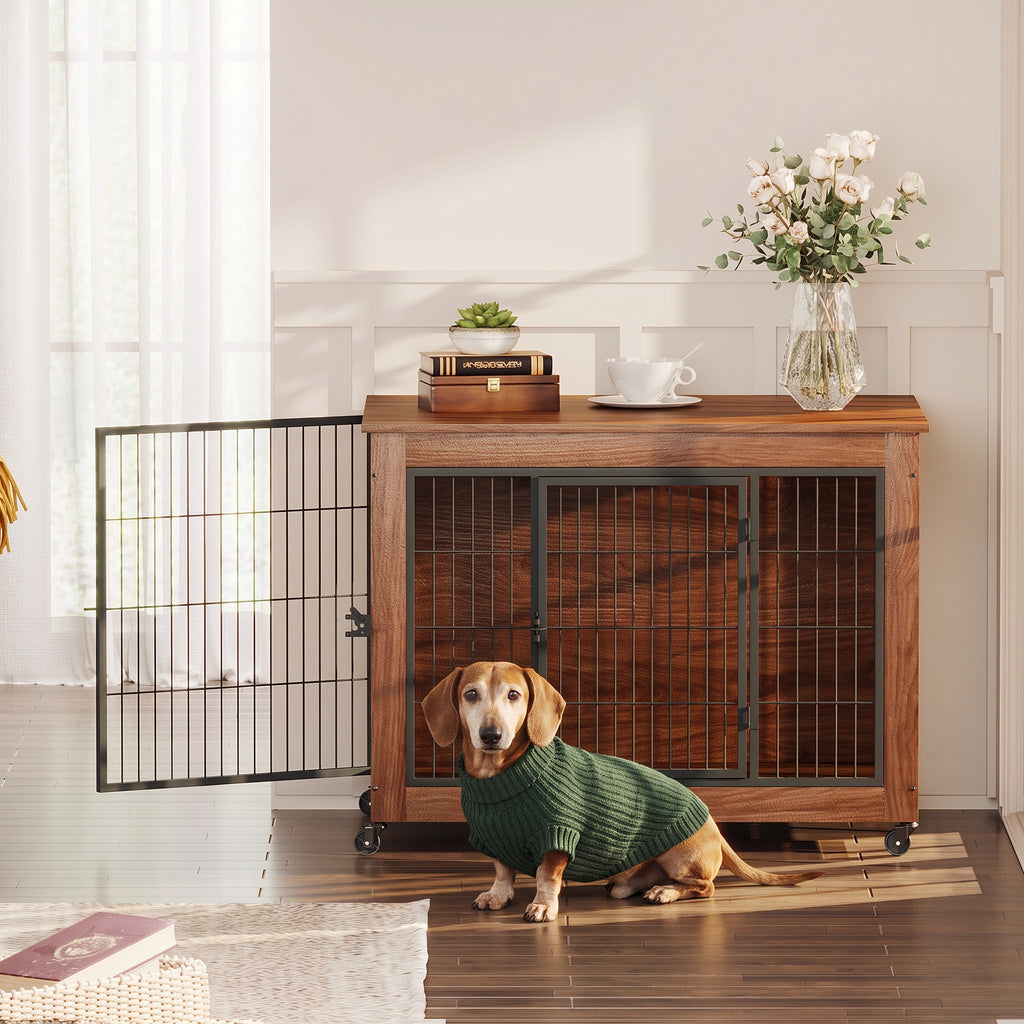 Earl, our brand mascot, a senior dachshund in a green sweater, sitting in front of the crate end table in a living room