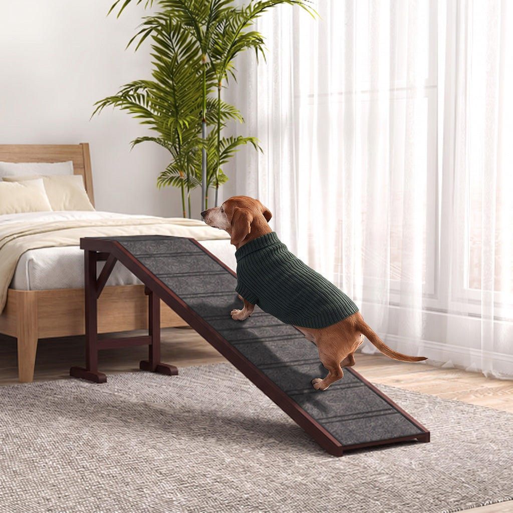 Earl, our brand mascot, a senior dachshund in a green sweater, walking up the dog ramp to a bed in a bright bedroom