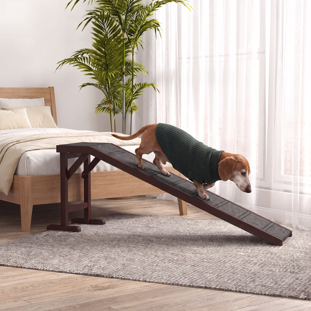 Earl, our brand mascot, a senior dachshund in a green sweater, walking down the dog ramp from the bed in a bedroom
