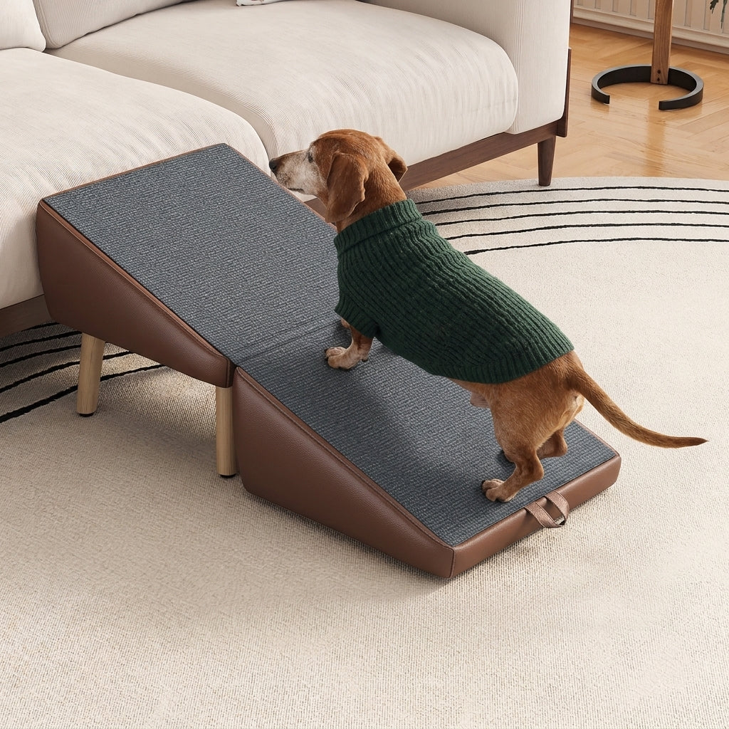 Earl, our brand mascot, a senior dachshund in a green sweater, walking up the ottoman ramp to the couch
